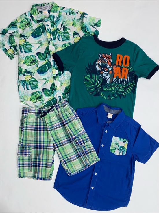 Gymboree Other - Gymboree Boys’ ‘Safari Ranger’ 4-piece Shorts Set